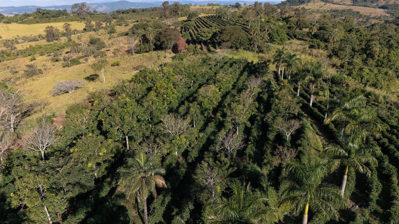 Equipe da Earthshot Labs em atividade de campo